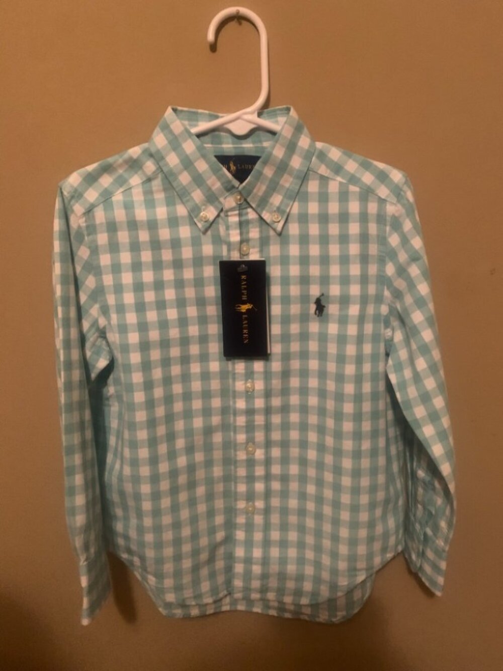 Boys Mint Green and White Polo Ralph Lauren Button Up Shirt